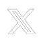 X Icon